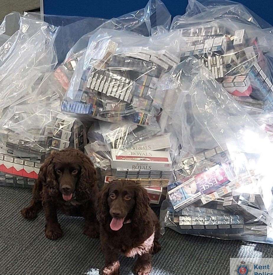 Cocker spaniels Bran and Yoyo with the full seizure. Picture: Kent Police