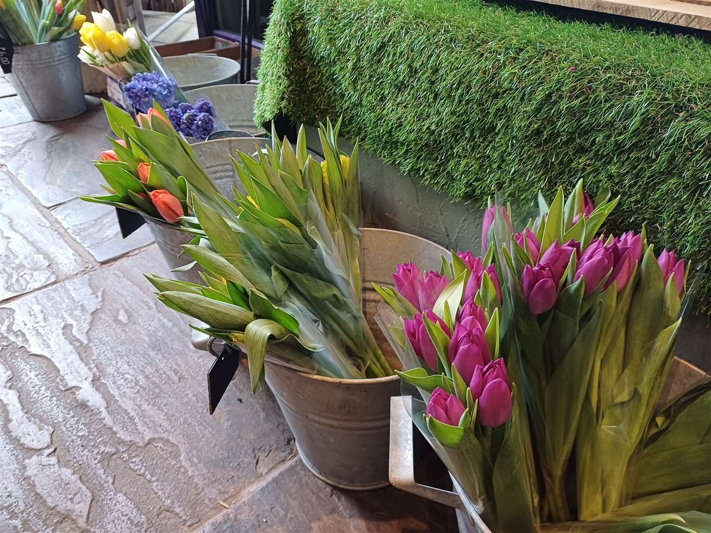Tulips have arrived in time for spring