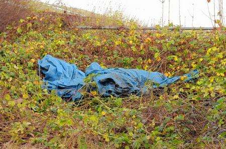 The dead body of a young pony under a tarpaulin in Wilmington