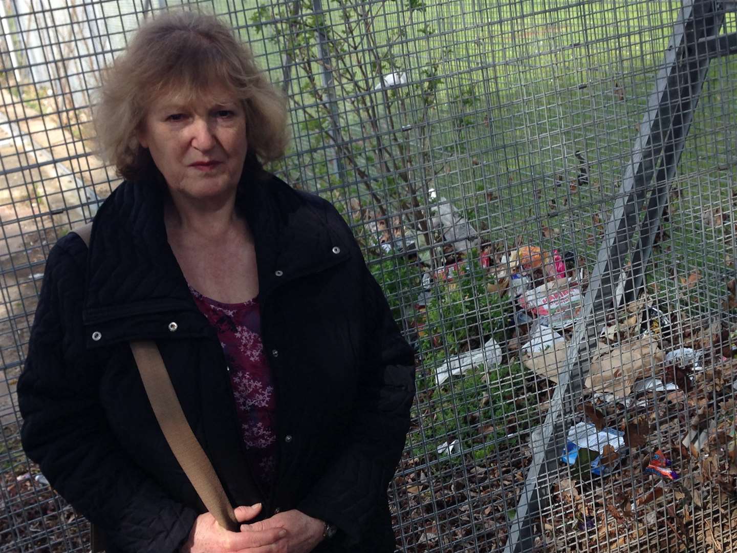 Rubbish found around Deal is a blight on our quality of life says environmentalist Vivien Clifford