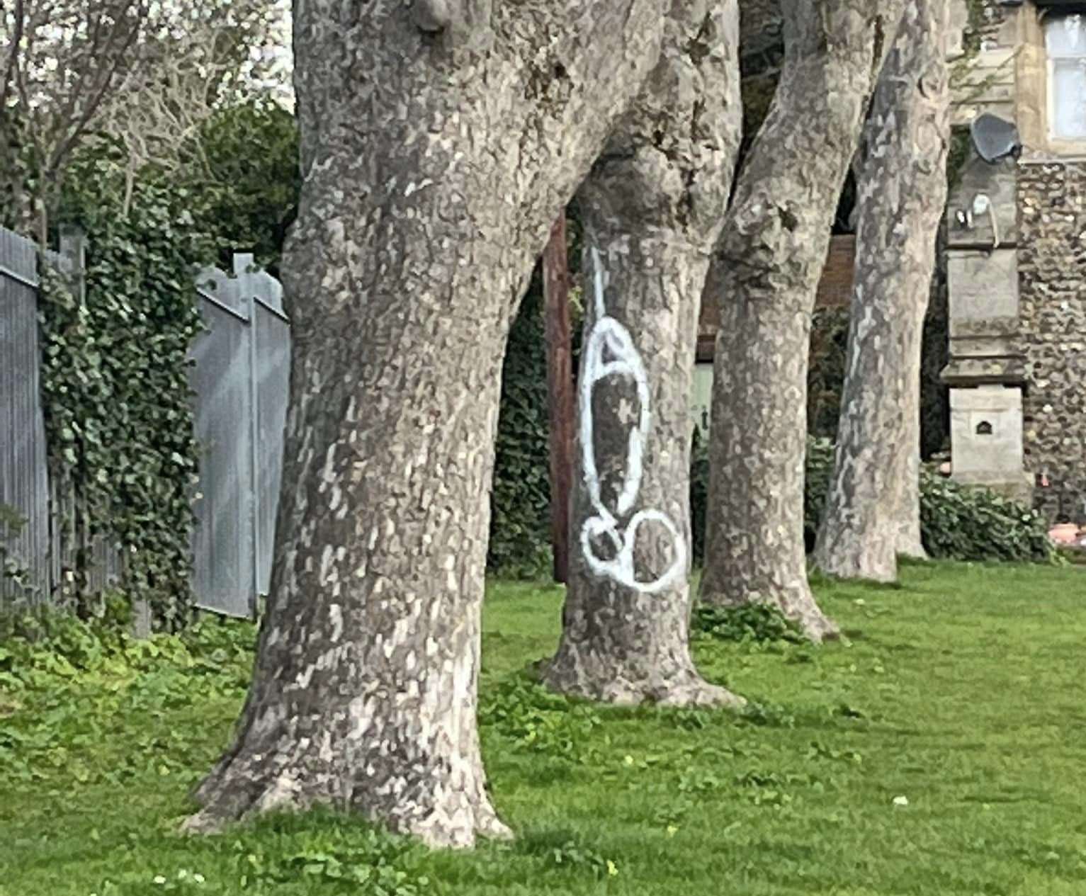 One phallic image was drawn on a tree at Ramsgate Cemetery. Picture: Lorraine Luckett