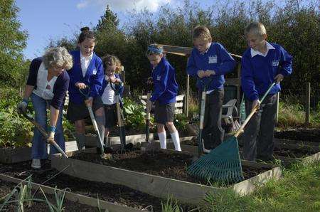 Pupils from Yalding Primary School join allotment association secretary Anne Purnell on a quarter sized plot