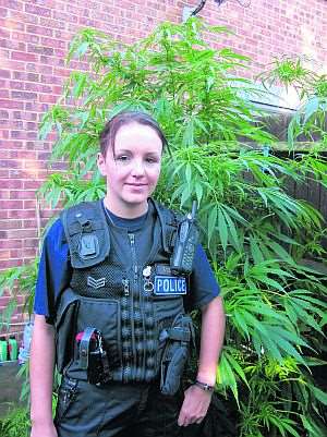 Sgt Lara Connor, who led the police operation at a property in Ramsgate, with some of the plants that were found growing in the garden and in the shed