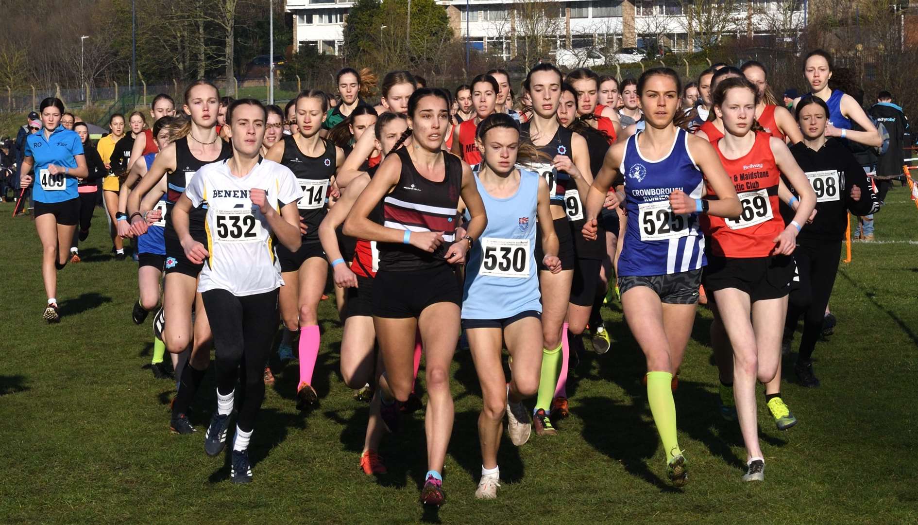 The intermediate and senior girls' races begin. Picture: Simon Hildrew (62005962)