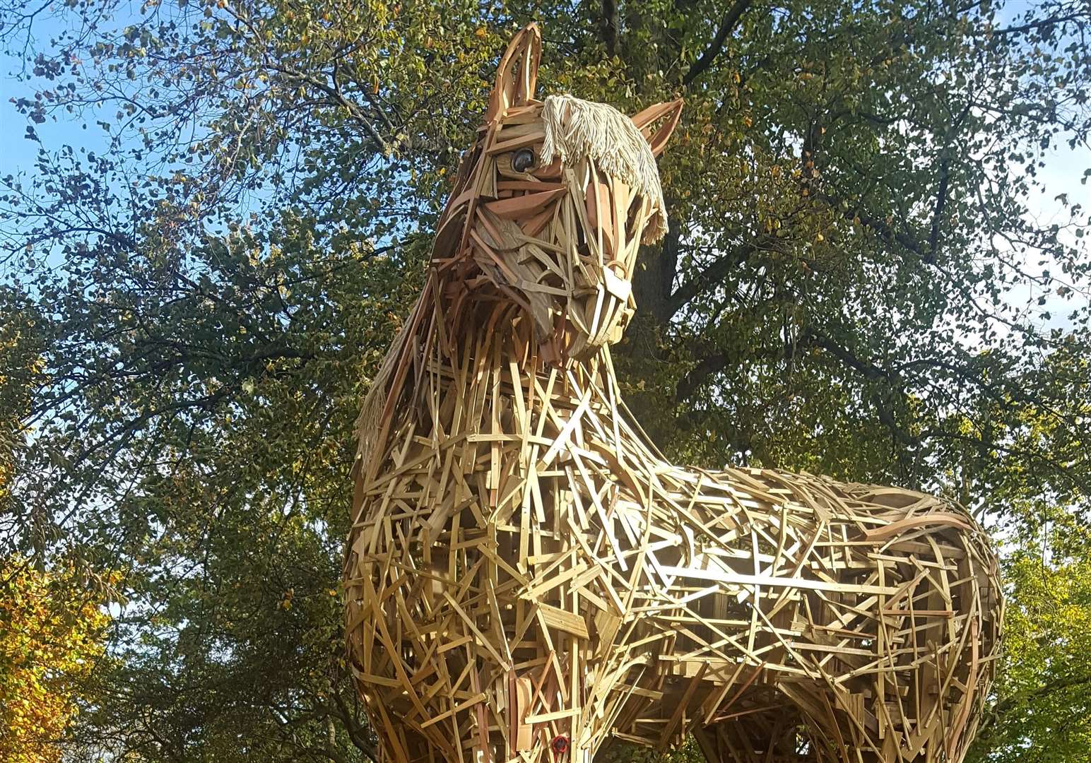 Students in Canterbury have created a 20ft war horse to mark the centenary of the Armistice