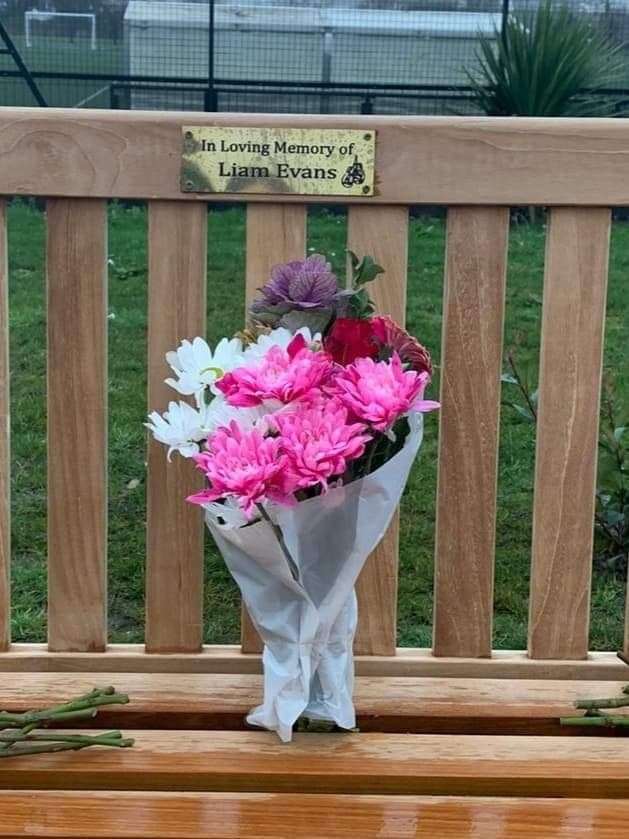 The memorial bench with its plaque for Liam. Picture:Mark Evans