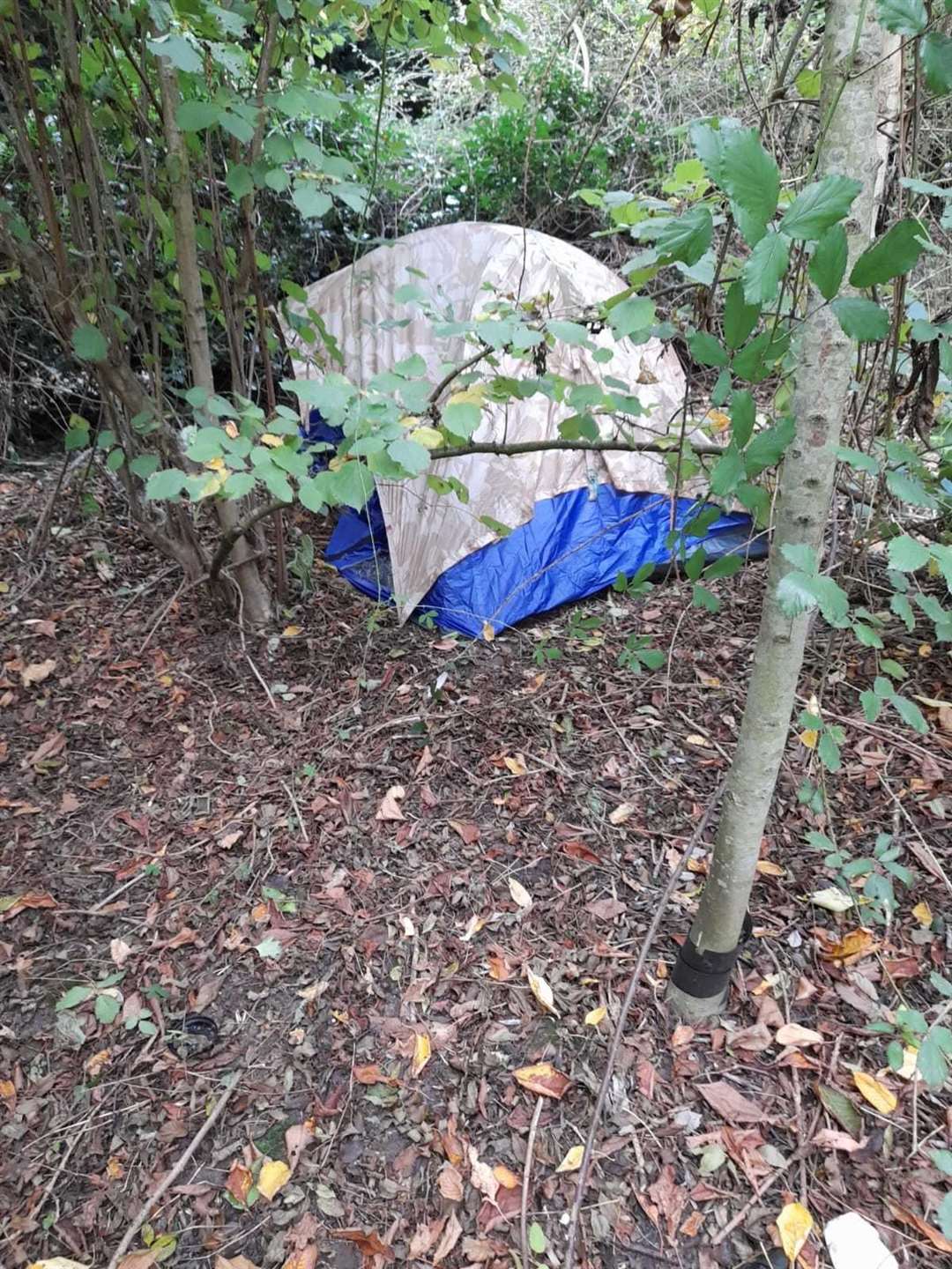 Neil's camp site in the woods