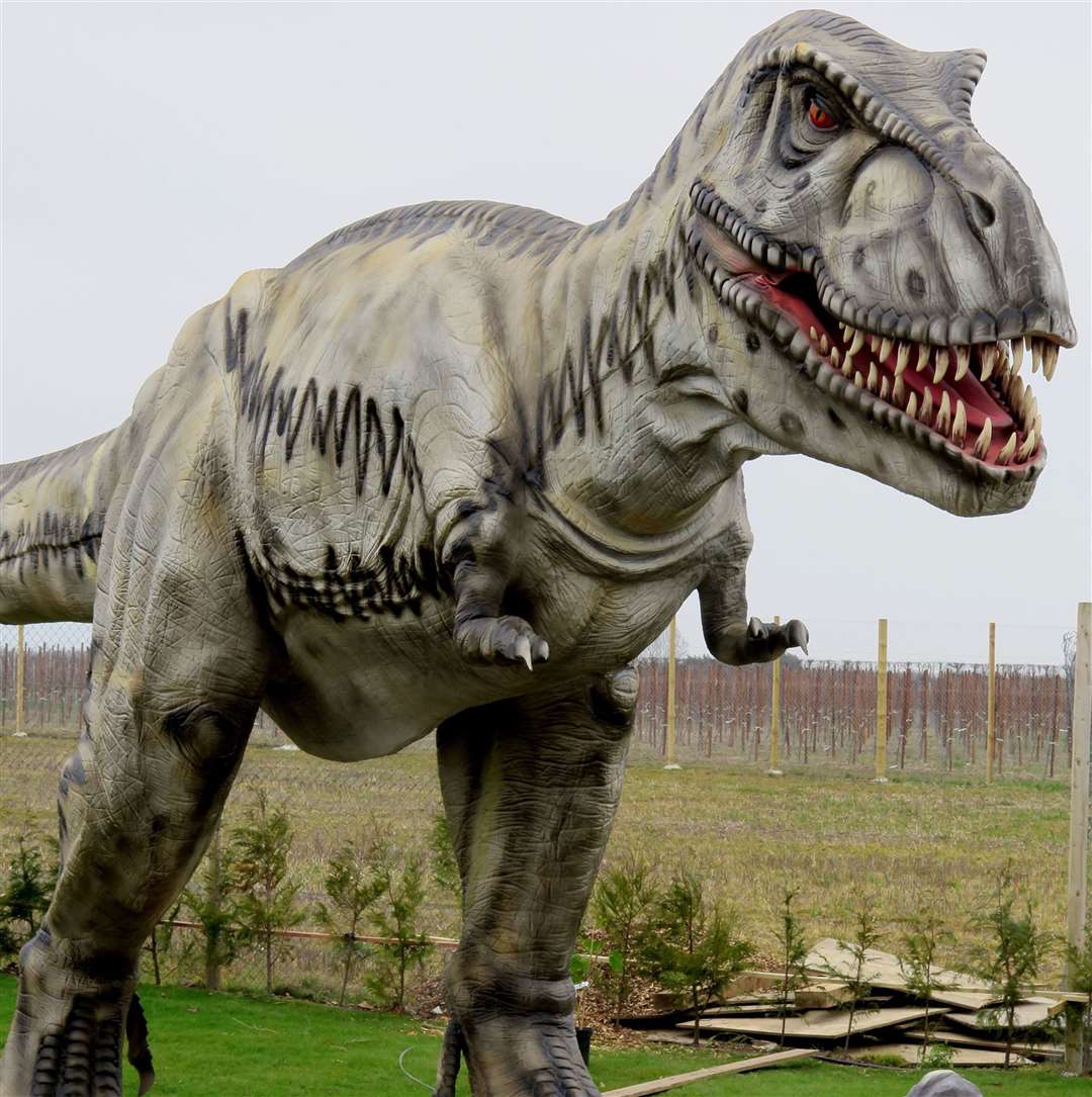 The mighty T-Rex reigns over the dinosaur park at Wingham Wildlife Park. Picture: Gerry Warren