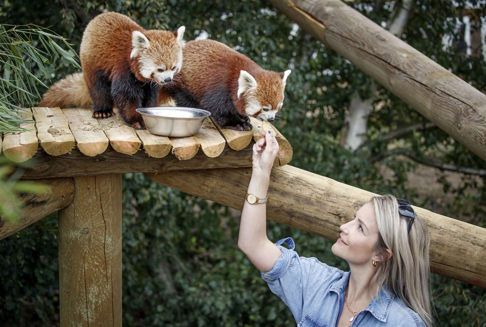 Countryfile presenter Helen Skelton feeds a red panda during a visit to the Yorkshire Wildlife Park (Danny Lawson/PA)
