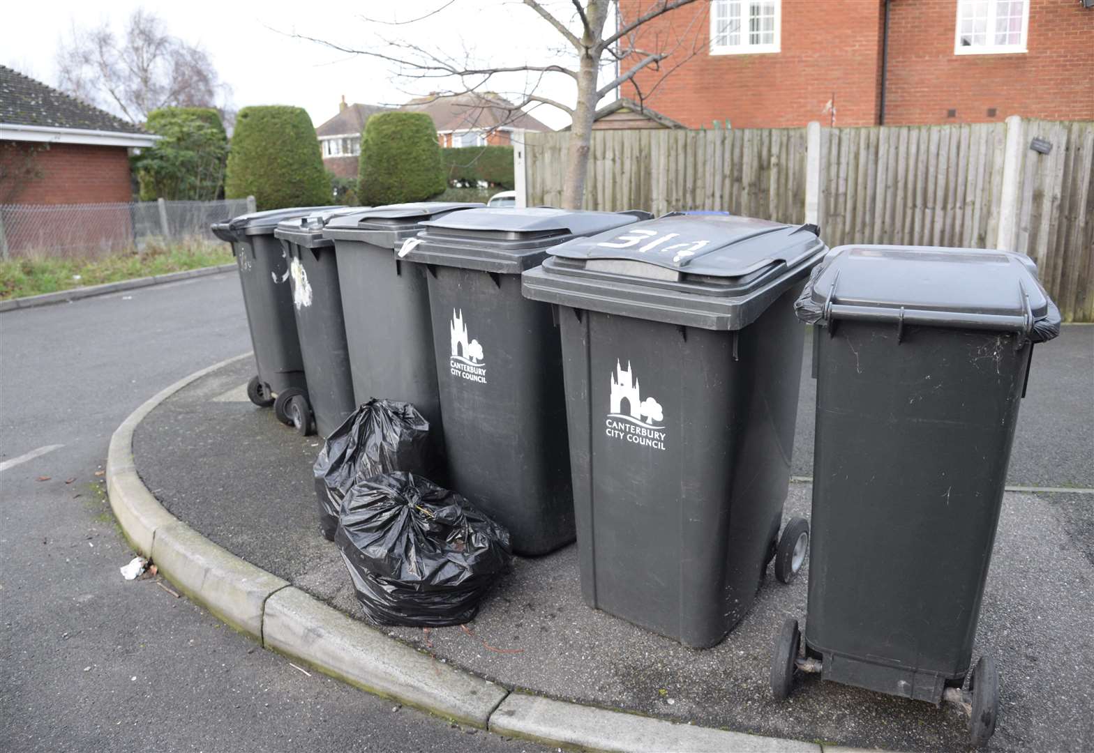 Bins could be uncollected in the Canterbury district. Picture: Chris Davey