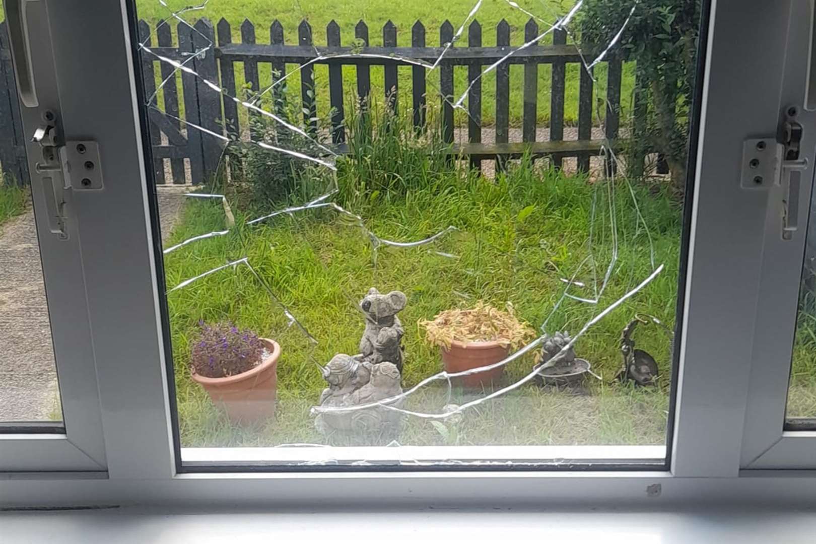 Vandals have hit windows in five Ashford homes. Photo: Rebecca Horton