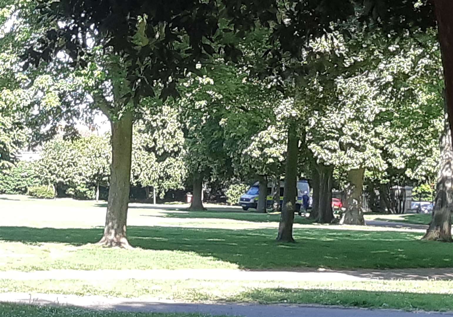 A police van was in Gillingham Park, Canterbury Street, Gillingham this morning after travellers invaded the park
