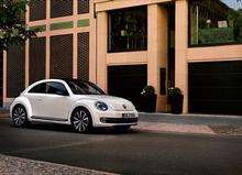 Beetle ready to rock