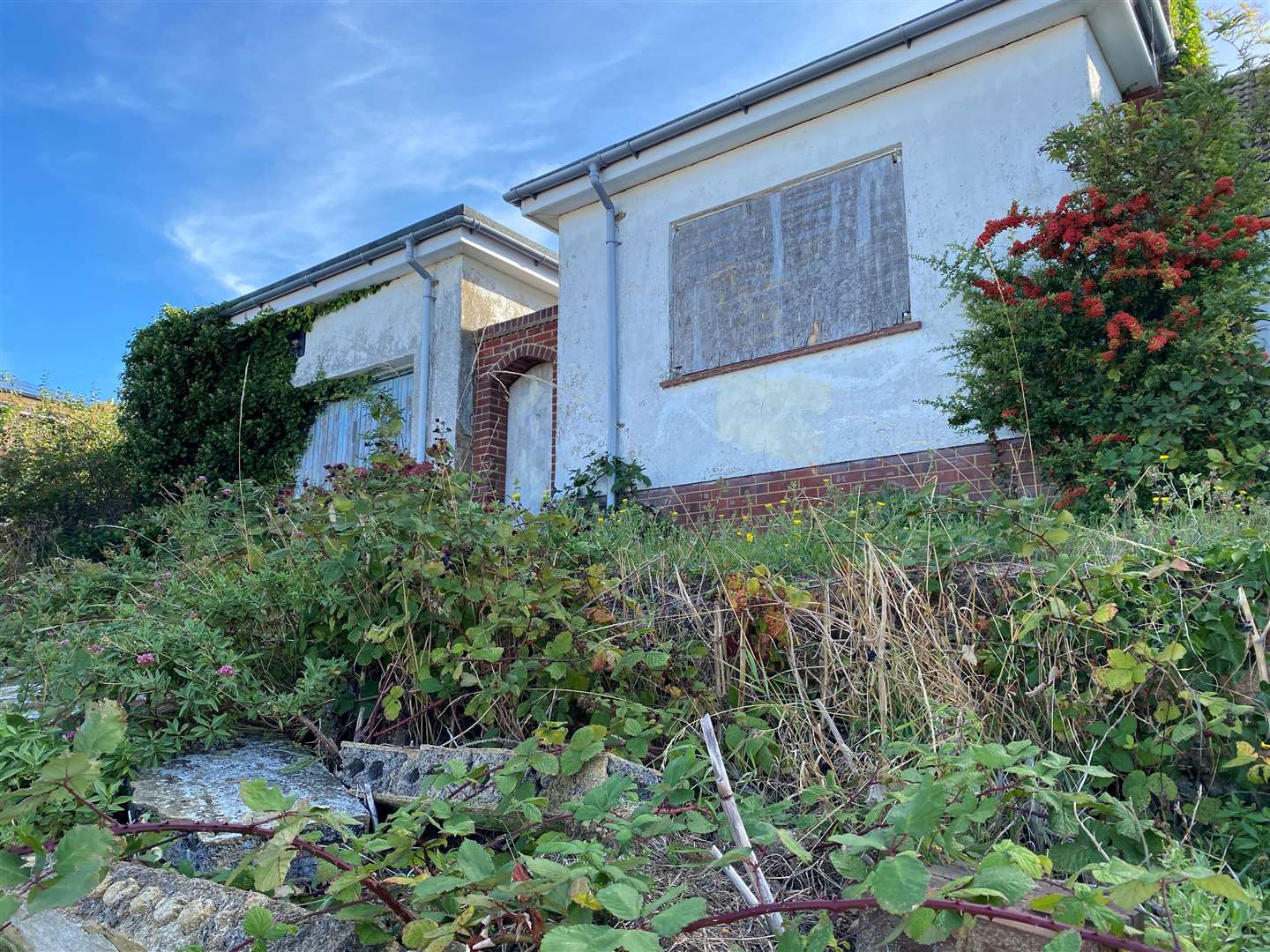 The bungalow in Herne Bay has been overrun with weeds of all sorts