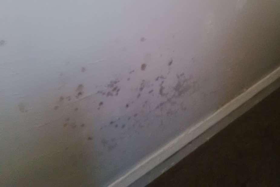 Mould on the walls in their council home