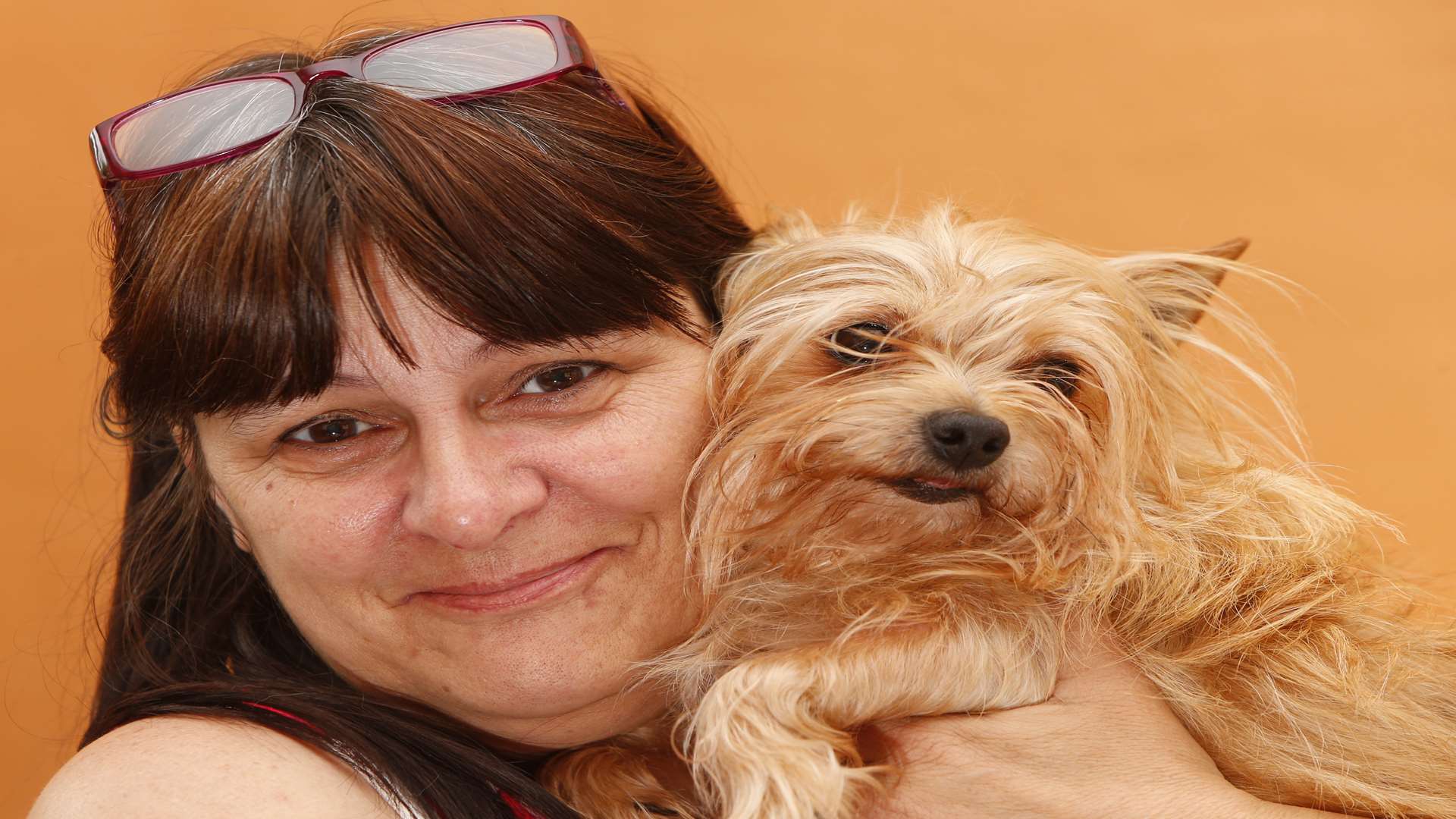 Adele Ankers and her Yorkshire Terrier Meeko, who was injured by a flea collar purchased in Poundland. Picture: Andy Jones.