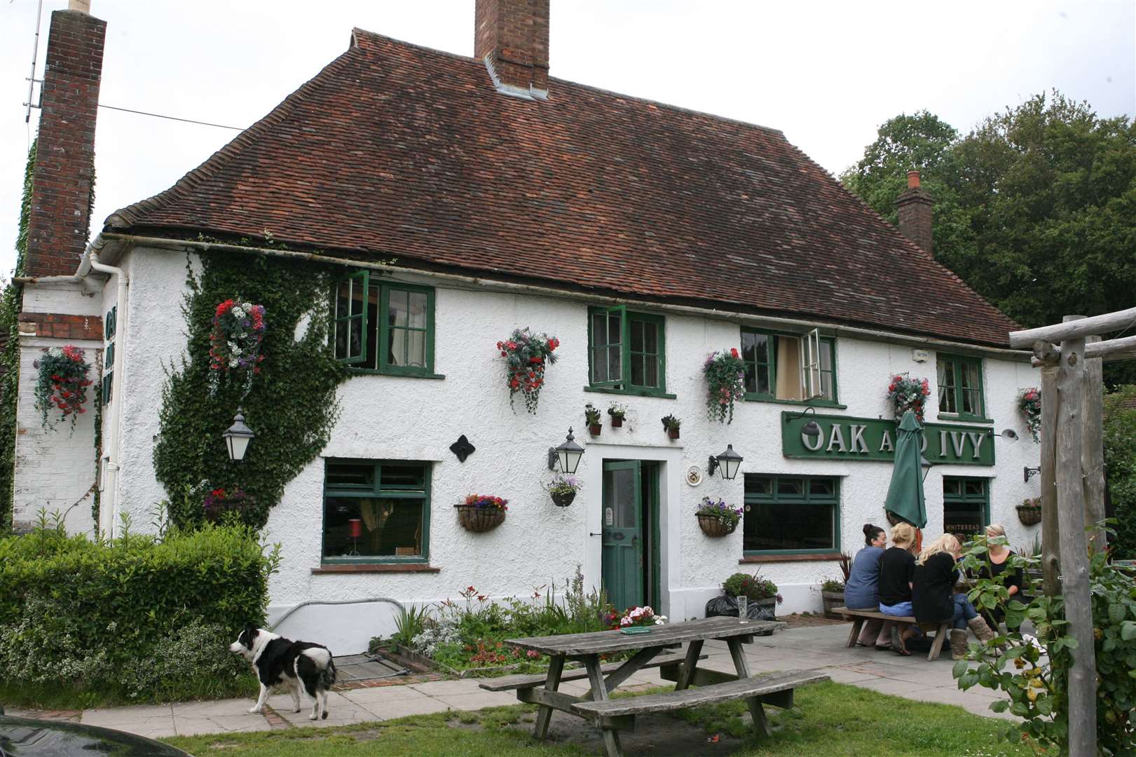 The historic Oak and Ivy in Rye Road, Hawkhurst