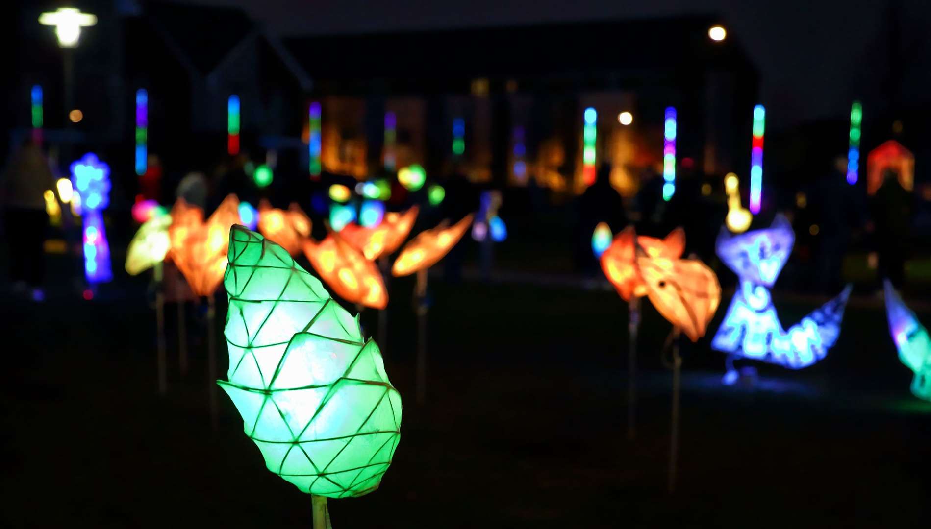 The park was lit up with several light installations. Picture: Cohesion Plus