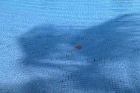 The pool had to be shut and cleaned multiple times after someone defecated in it. Picture: Esther Watson