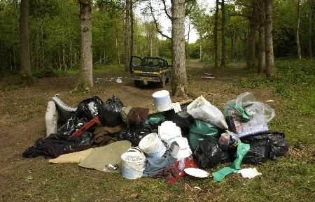 The scene after Saturday night's rave in Denge Wood, near Waltham. Picture: PAUL DENNIS
