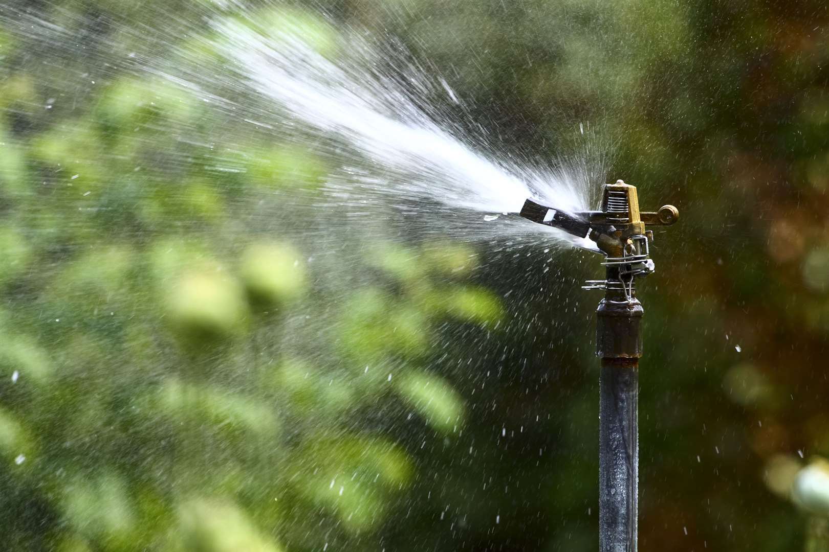Hosepipe restrictions eased in November 2022 after heavy rain. Image: iStock.