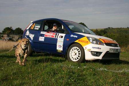 The cheetah with Louise Cook's rally Ford Fiesta