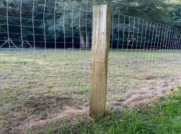 The dog area will be secured with stock fencing