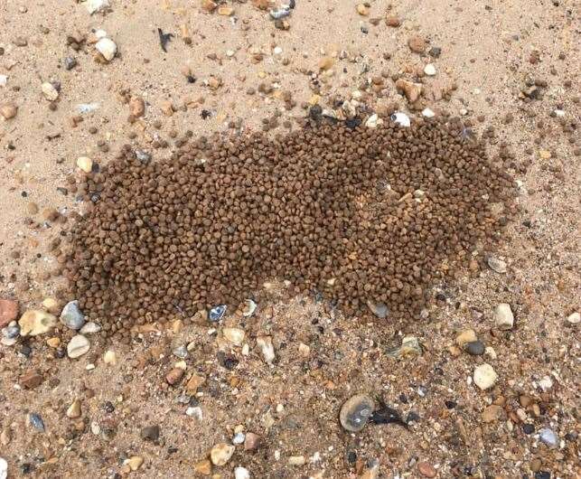 Image of the dog food dumped on the beach Picture: Lynsey Conacher
