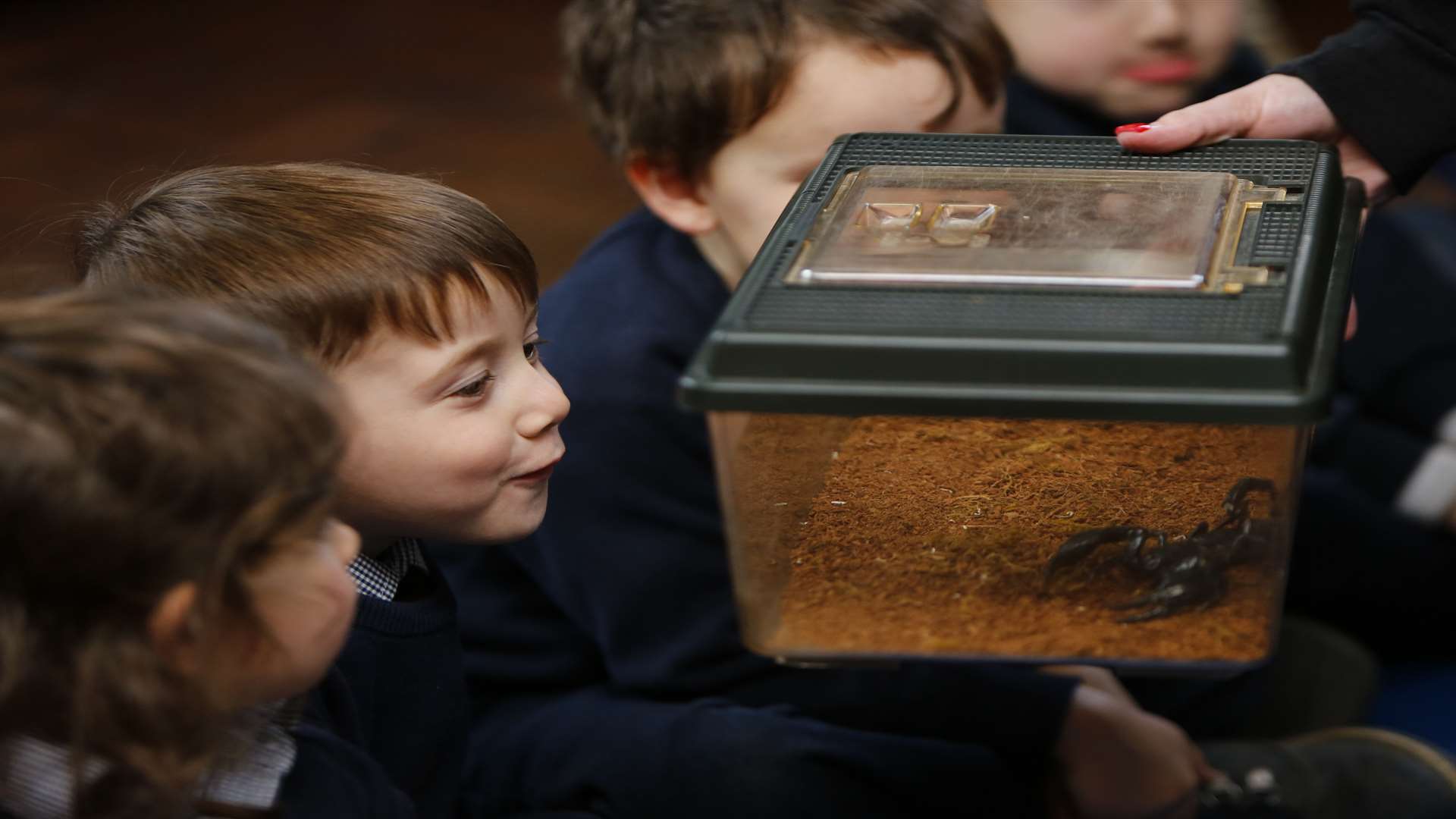 Children from nursery and reception classes meet a scorpion