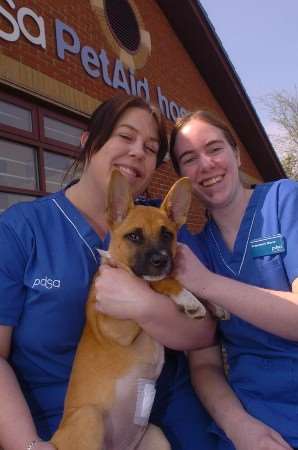 Staff at the centre with animals.L-R: Sarah Buckle- Gemma Abbitt with Tea Leaf