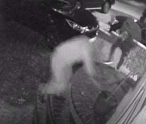 Caught in the act: The two brazen thieves swipe the pots from outside the front door