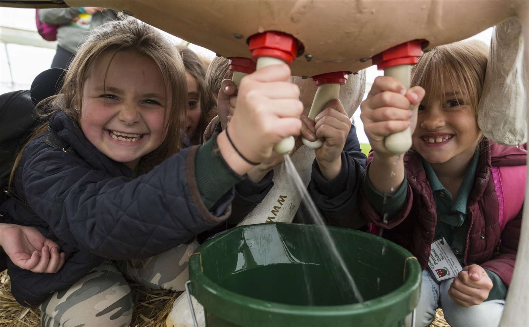 Children get a taster of the Kent County Show at its schools event in May, the Living Land Picture: Martin Apps