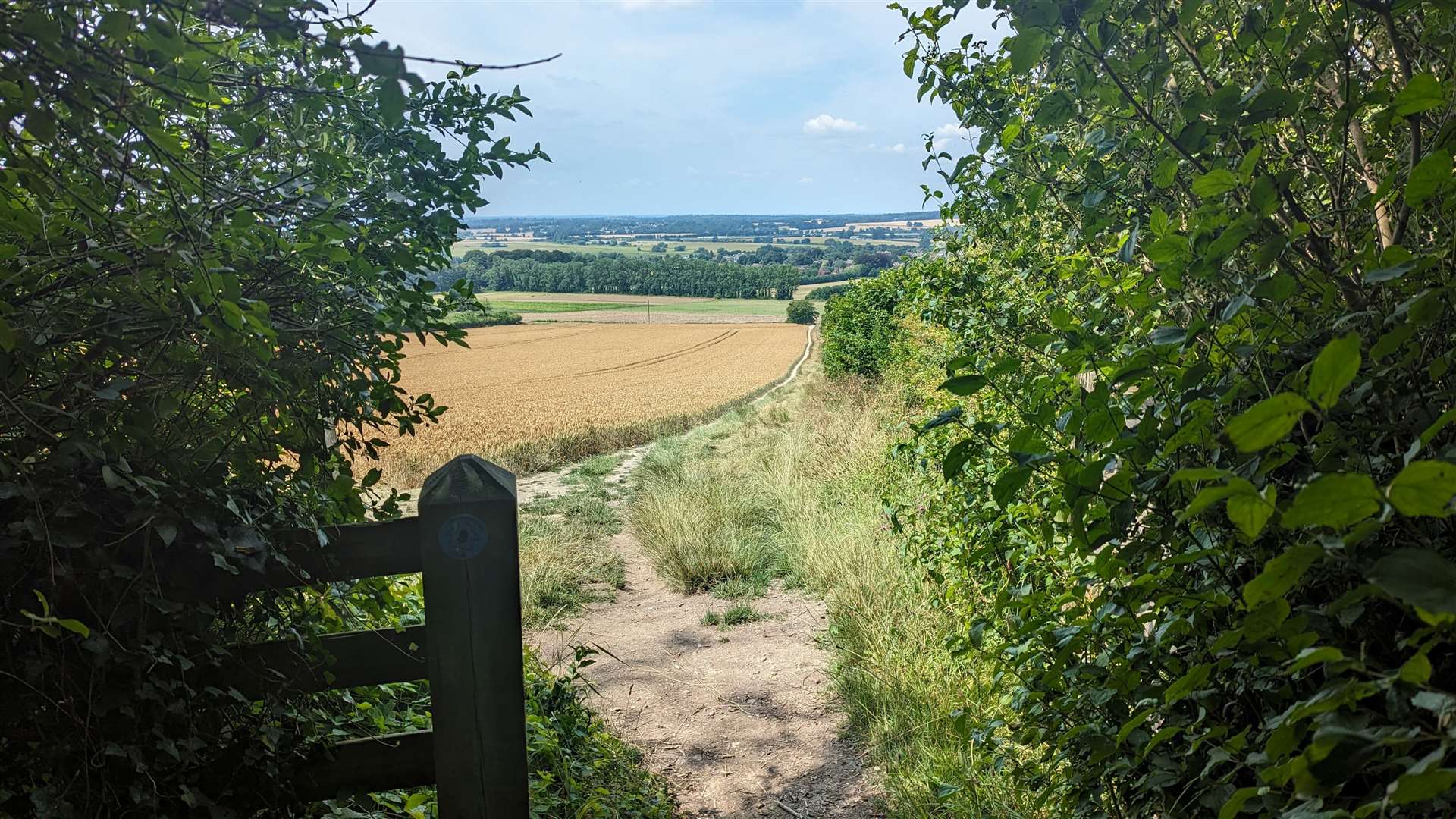 The footpath leads back down from the Downs towards Wye