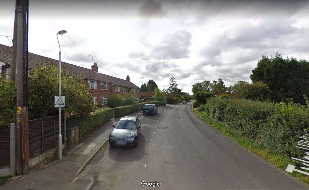 A number of cats have been hit by cars and killed along Tyler Hill Road, near Canterbury. Picture: Google Street View