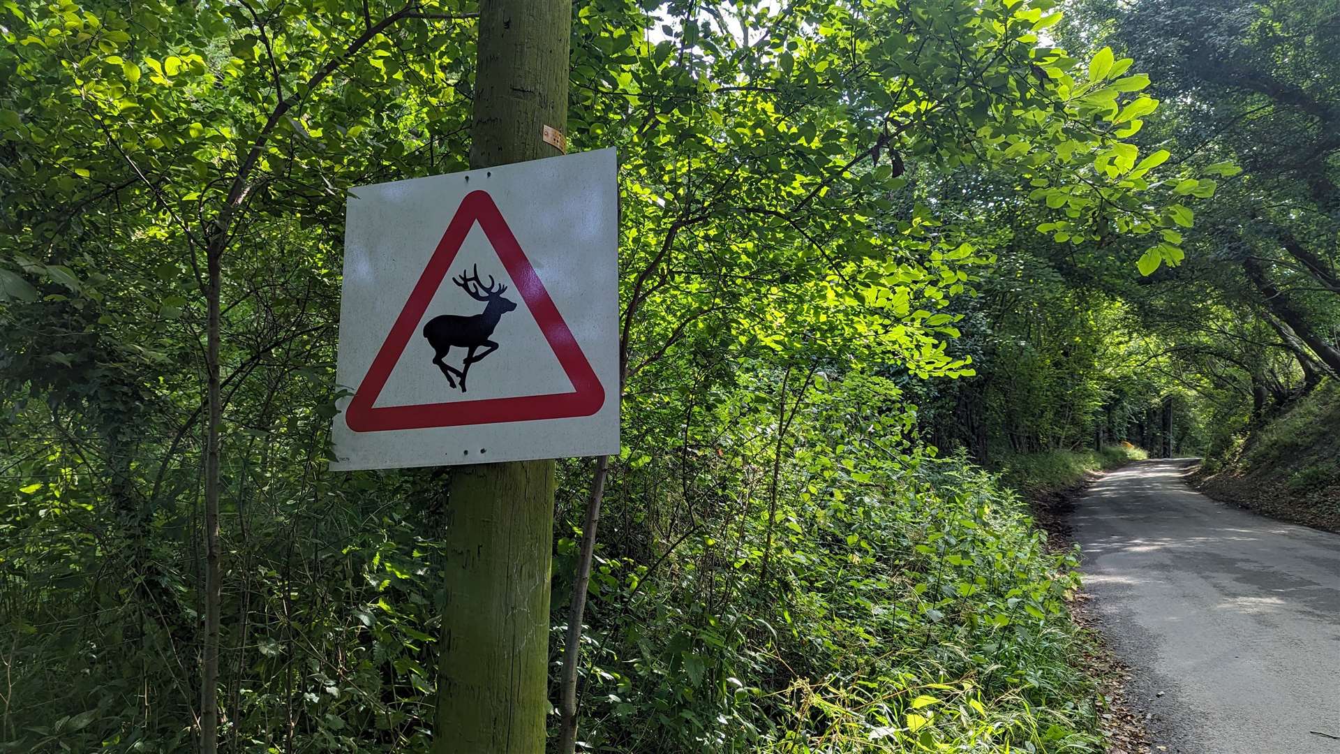 Despite the signs, no deer were spotted during the walk