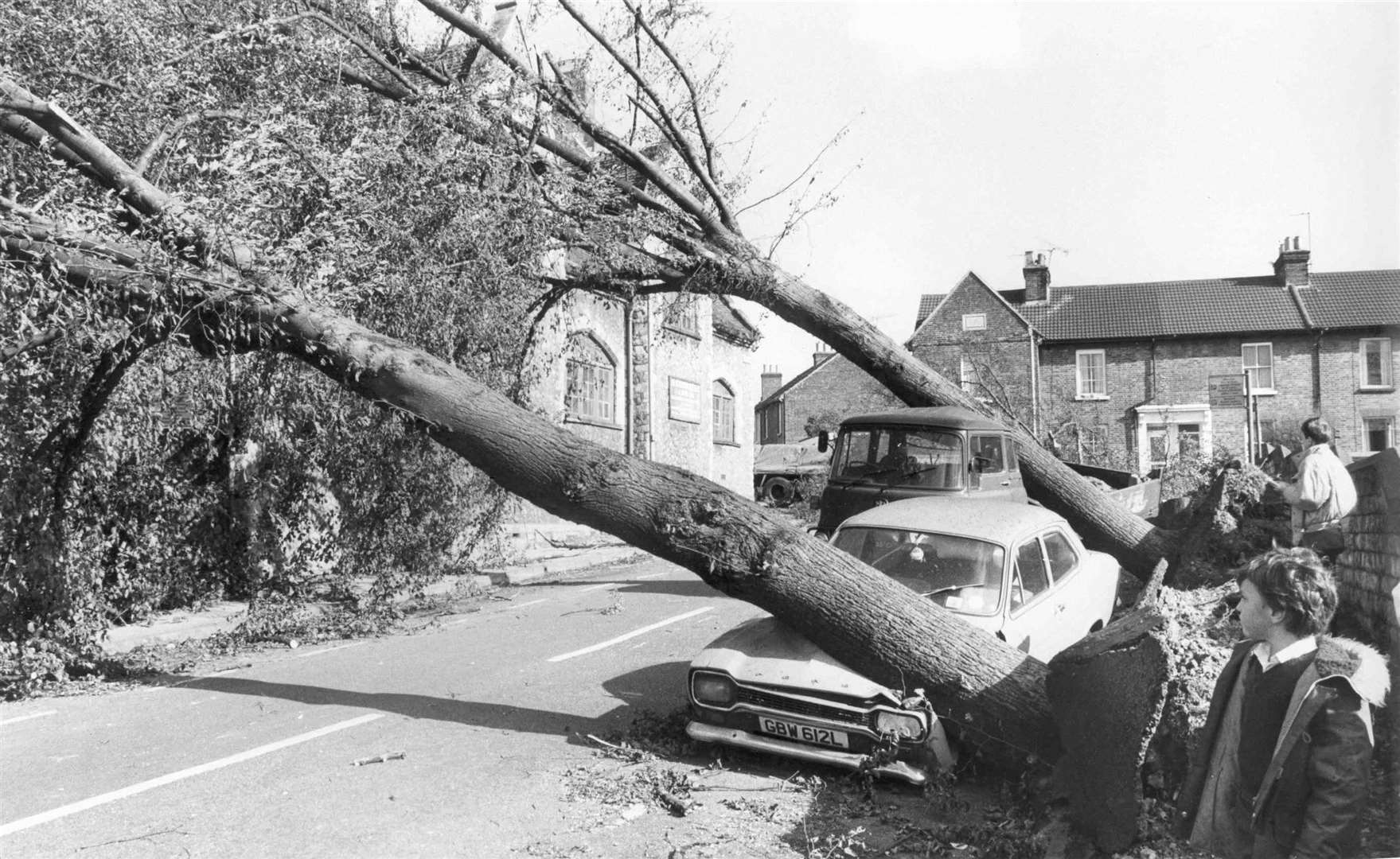 Five lime trees crashed down, crushing two cars, a lorry and two houses in Randall Street, Maidstone