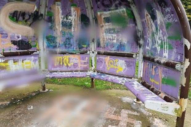 Graffiti in Poplar Park, Allington. Picture: Sharon Hobley