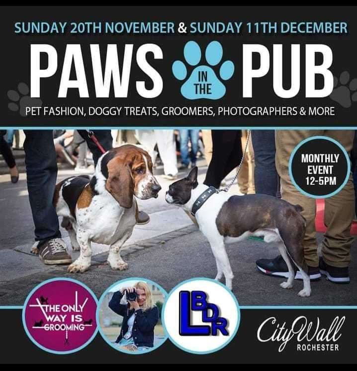 Paws in the Pub is returning