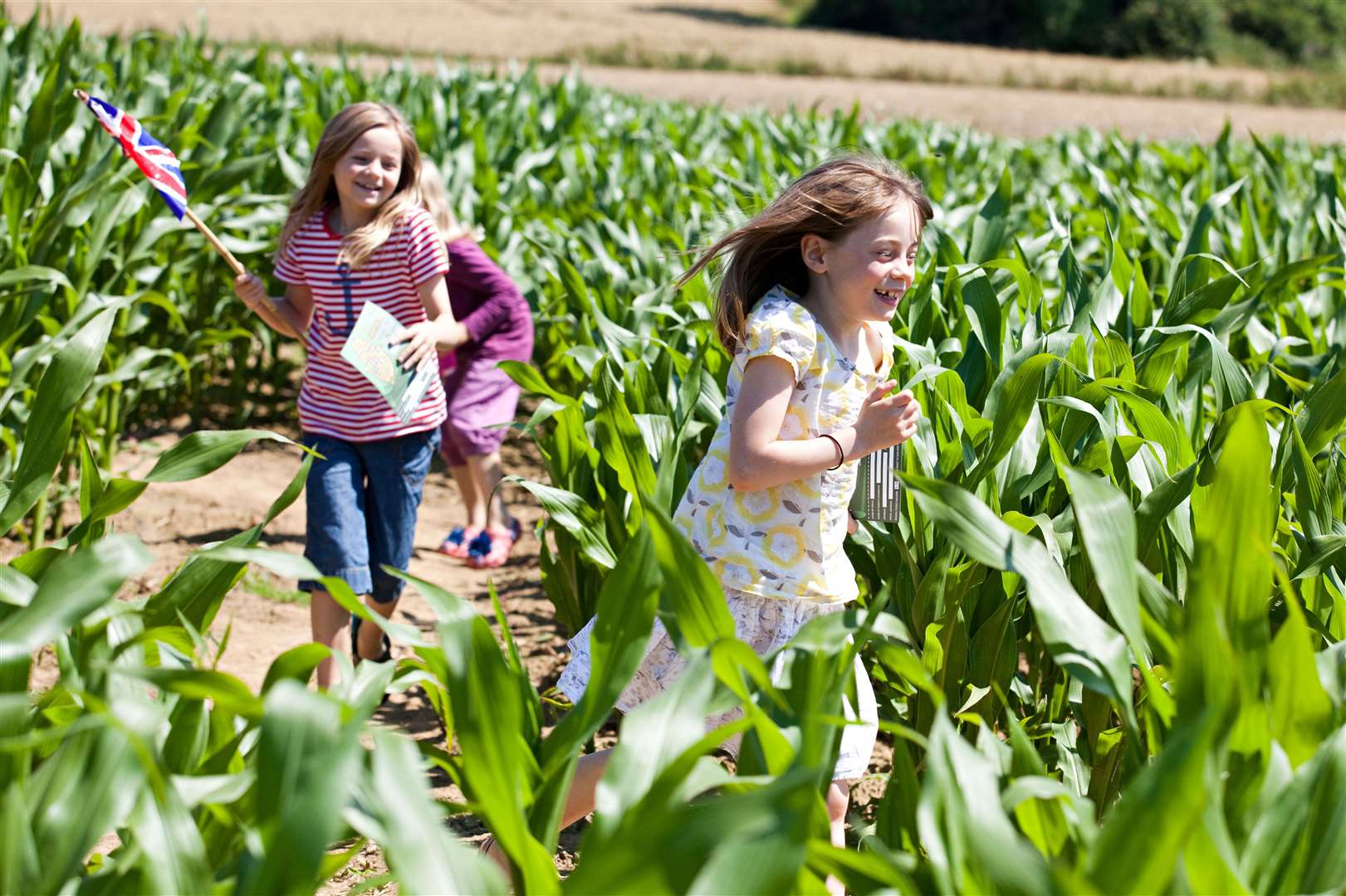 The Maize Maze at Penshurst Place is not being grown this year