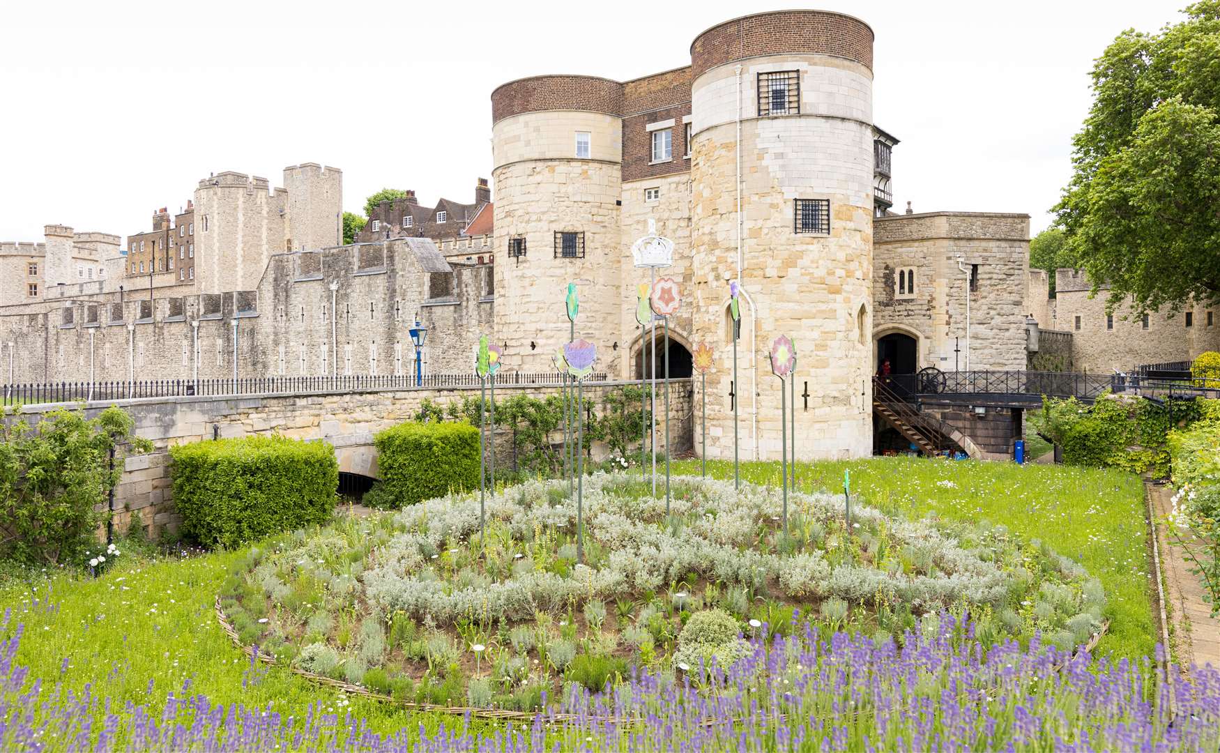 The new display is called "Superbloom" and is part of a scheme to increase biodiversity. Picture: Historic Royal Palaces