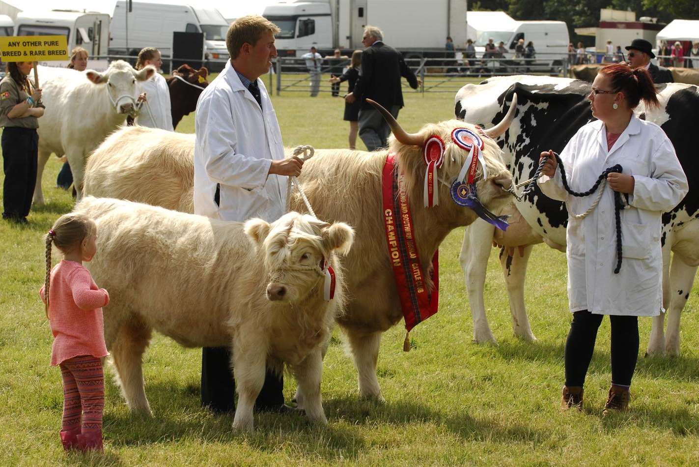 Livestock are one of the features of the Kent County Show