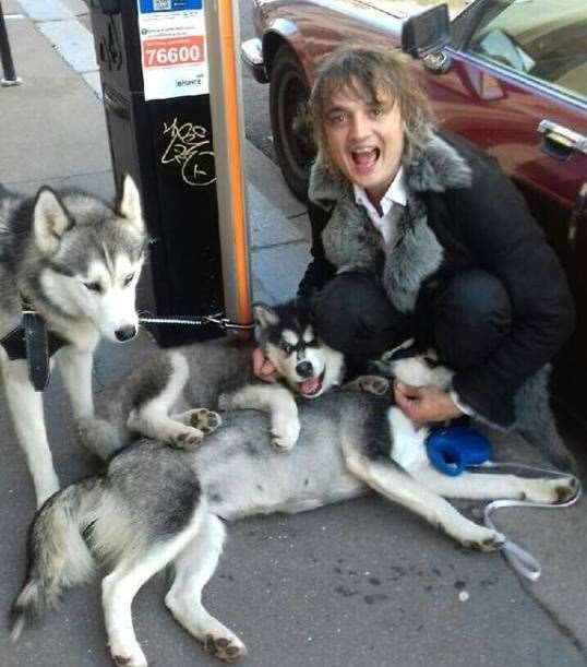 Pete Doherty with his huskies two years ago. Picture: @petedoherty