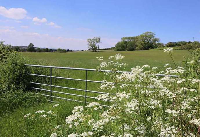 Farmland north of Elm Lane is set to be built on. Picture: John Nurden