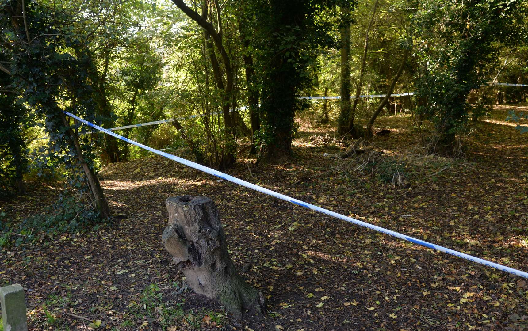 A cordoned off area of woodland behind Bazes Shaw, New Ash Green during the search for Sarah Wellgreen