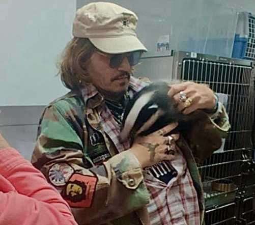 Johnny Depp visiting Folly Wildlife Rescue in Tunbridge Wells in June 2022. Picture: Folly Wildlife Rescue / Facebook