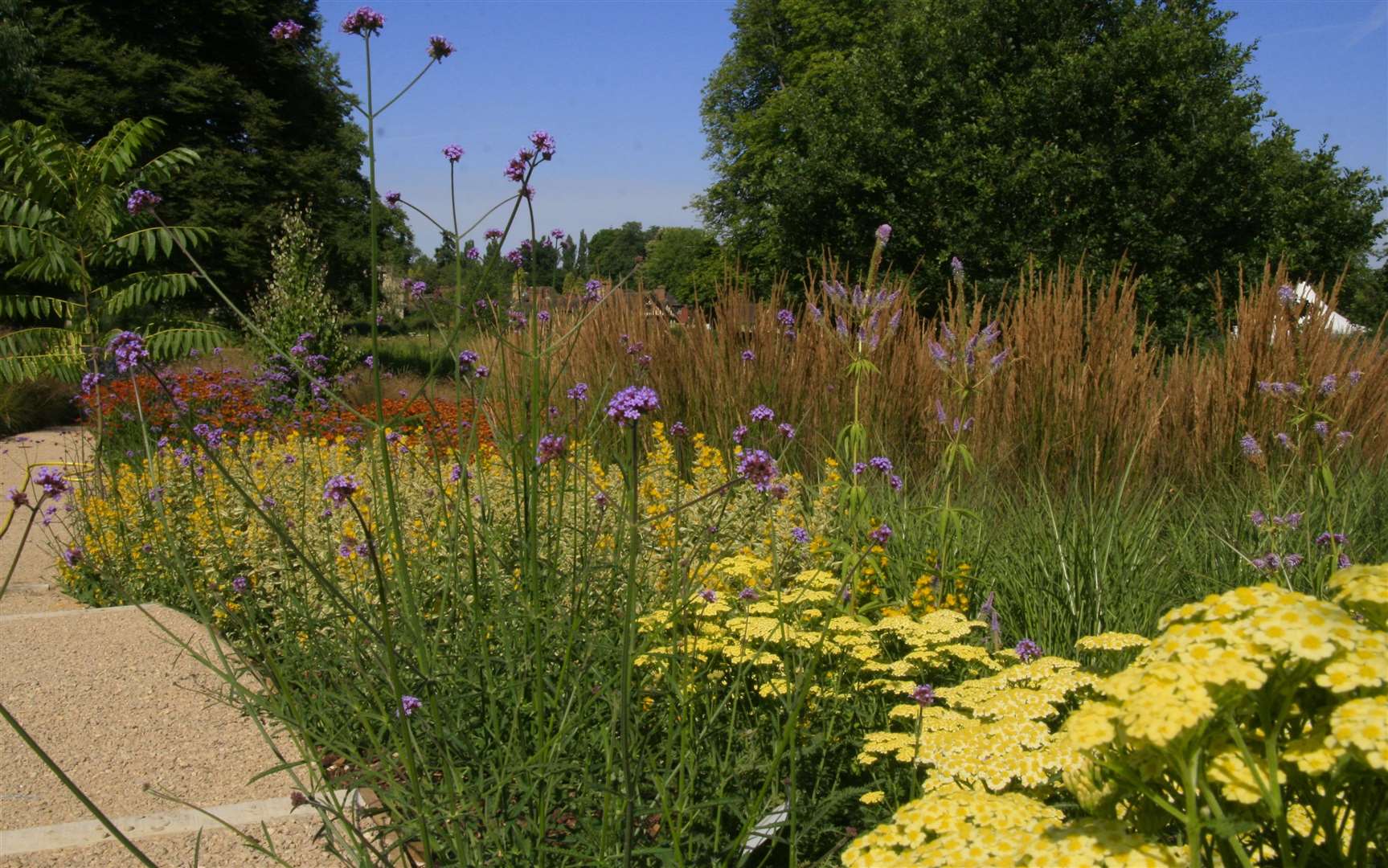 The ornamental grasses at the castle have delivered colour and vibrancy all summer