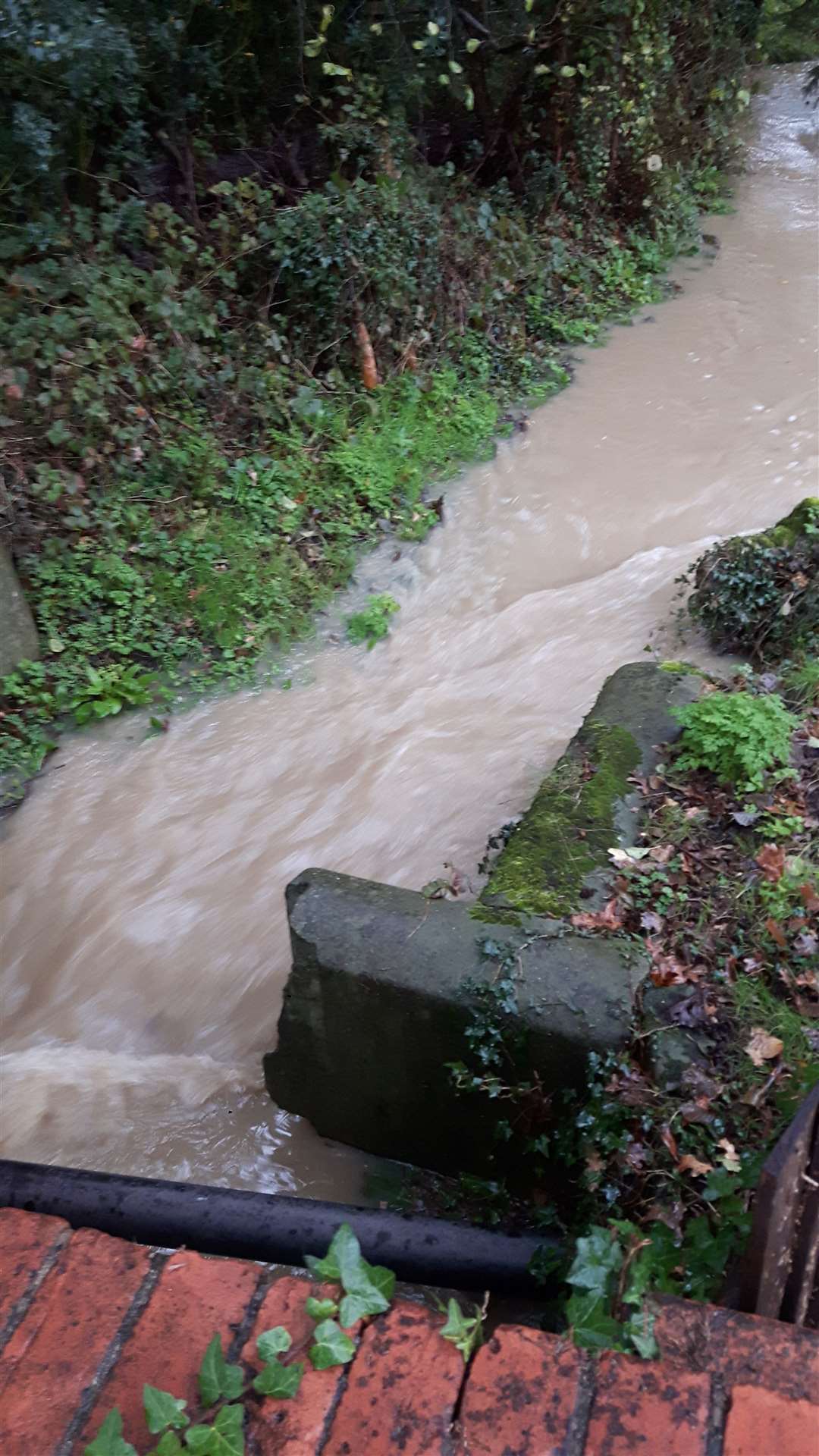 The Lilk Stream to the east of Sutton Street in Bearsted flows into the site