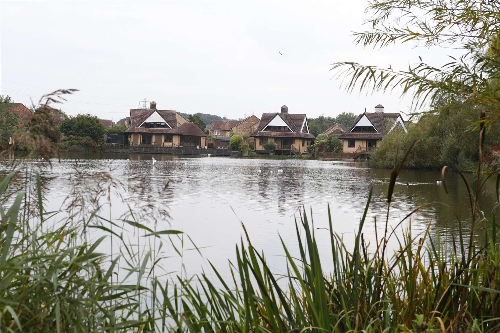A woman was reportedly sexually assaulted near Singleton Lake in Ashford. Picture: Andy Jones
