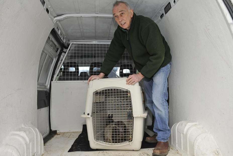 Richard Thompson arrives with the seal in his van