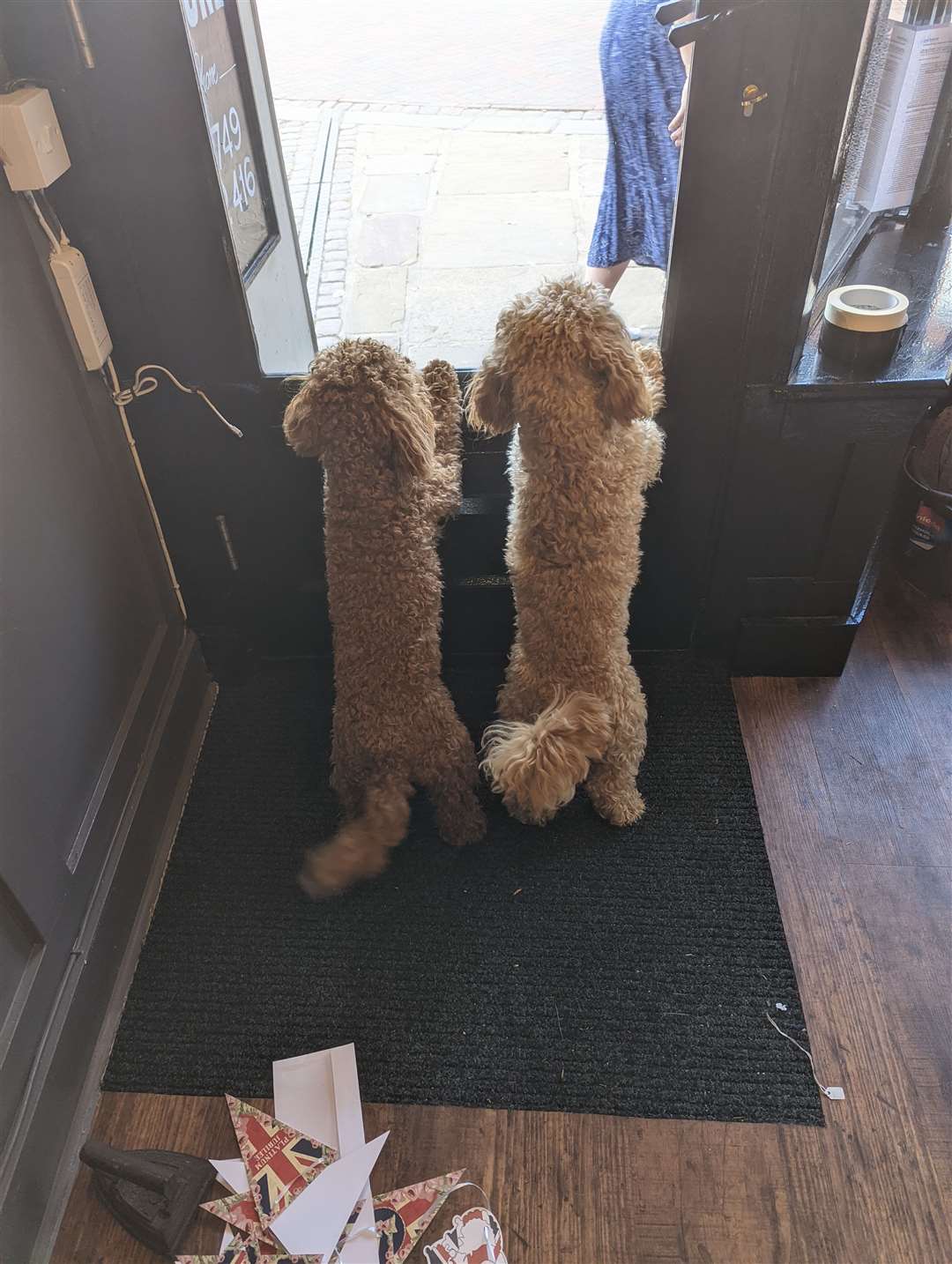 Ronnie and Willow waiting for customers